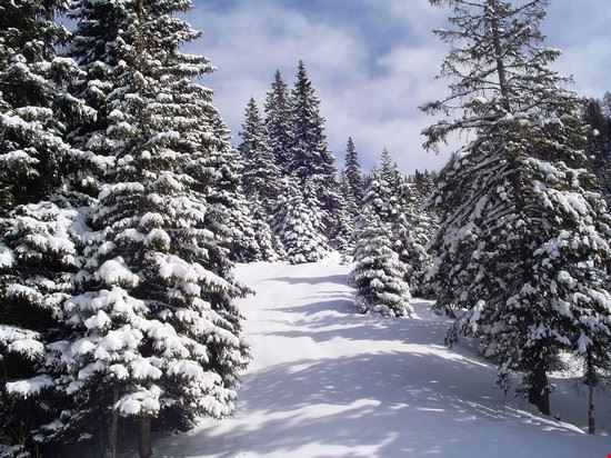 Panorama dei monti di Asiago dopo la nevicata  