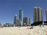 brisbane beaches brisbane
