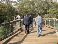 Nairobi Safari Walk