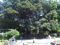 piazzetta ortobotanico