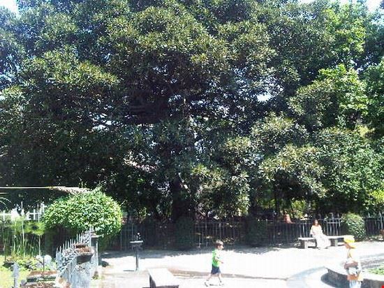 Orto Botanico