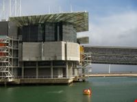 acquario