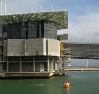 Hotel che ospitano animali Hotel che ospitano animali