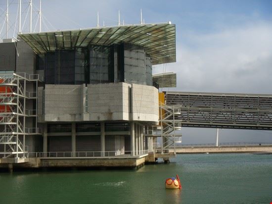 Oceanario Lisbon  