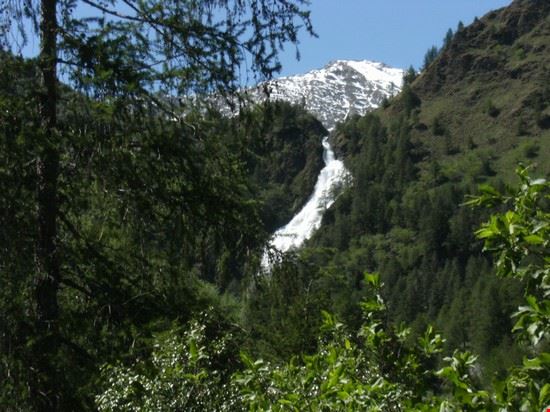  APRICA MORTIROLO VIVIONE  