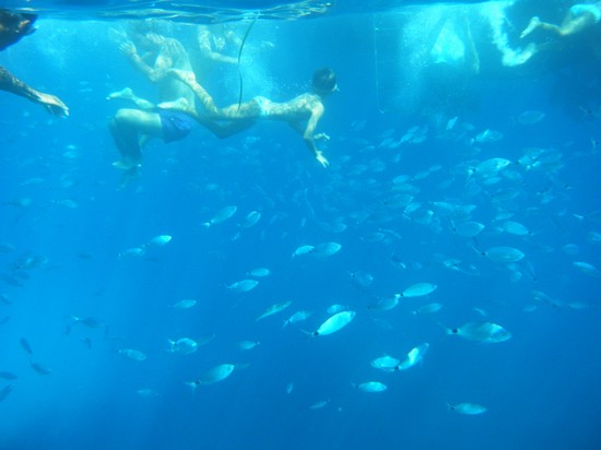 Snorkelling in compagnia