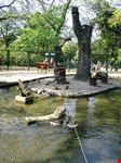 Isola Margherita Zoo