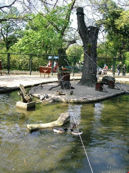 Isola Margherita Budapest  