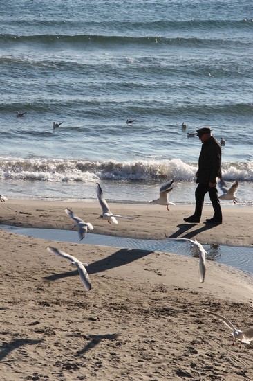Il vecchio e il mare