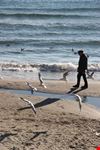 Il vecchio e il mare