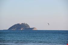 Isola Gallinara