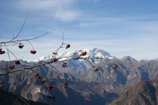 Vista sul Monte Rosa