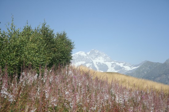 Il Rosa da Meggiana