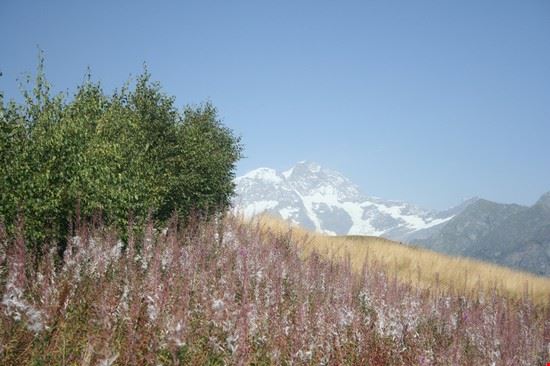  Vista sul Monte Rosa dall'ALpe Meggiana  