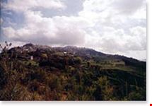 stigliano