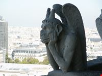 Gargouille di Notre Dame