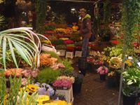 Mercato dei fiori