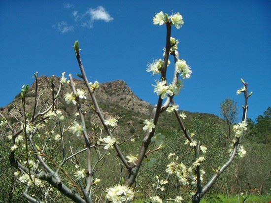  Casarza Ligure  