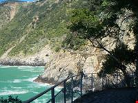 verso Vernazza-via dell'Amore