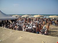 schiuma beach al lido le morge