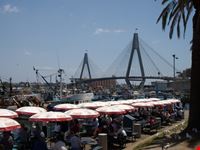Fish market
