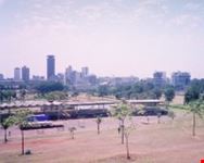 City Scape