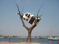 zona porto...mucca appesa