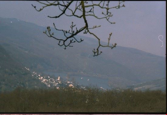 Boppard and the Rhine Valley Cologne  