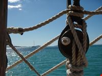 sailing the whitsundays cairns