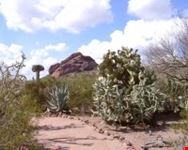 desert path phoenix