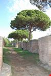 Area degli scavi etruschi