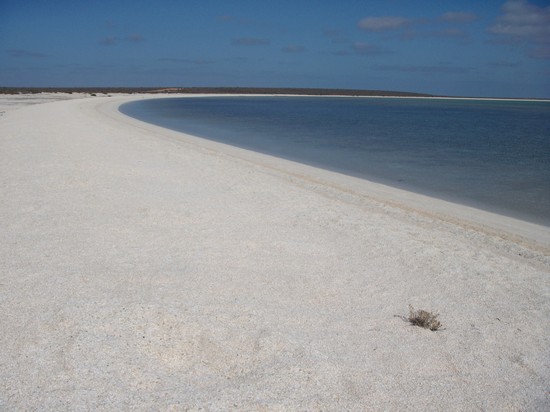 LOCALITà: sHELL BEACH