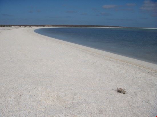 Perth  