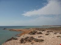 LOCALITà: sHARK bAY