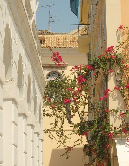 un vicolo nel centro di corfù