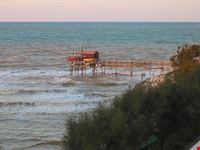 termoli trabucco
