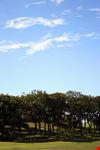 auckland aucklands park auckland domain