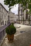 montpellier ecusson de montpellier