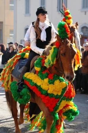 Cavalli  in festa
