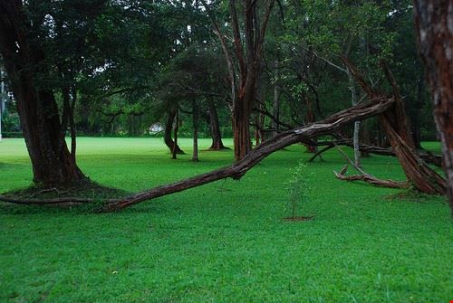  Botanic Garden Nairobi Creative Commons - Imaginextra Creative Commons