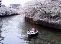 tokyo getting around
