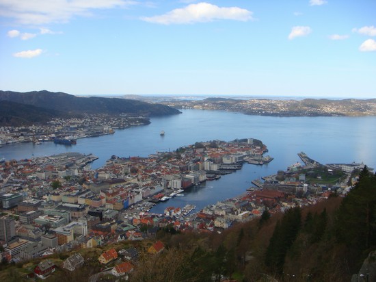 Panorama from Mountain