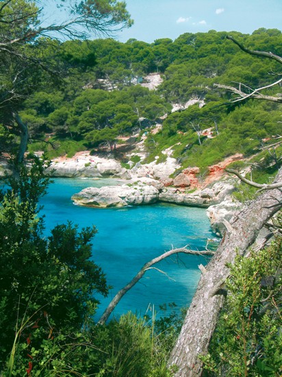 cala mitjana