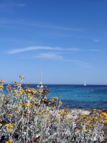 Cala di Binibequer