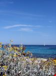 Cala di Binibequer
