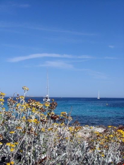  Minorca  