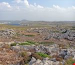 il paesaggio di cap de cavalleria minorca il paesaggio di cap de cavalleria minorca