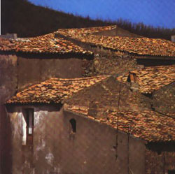 pallagorio