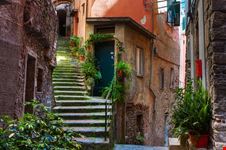vernazza licht und flora in vernazza cinque terre