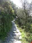 vernazza wanderwege